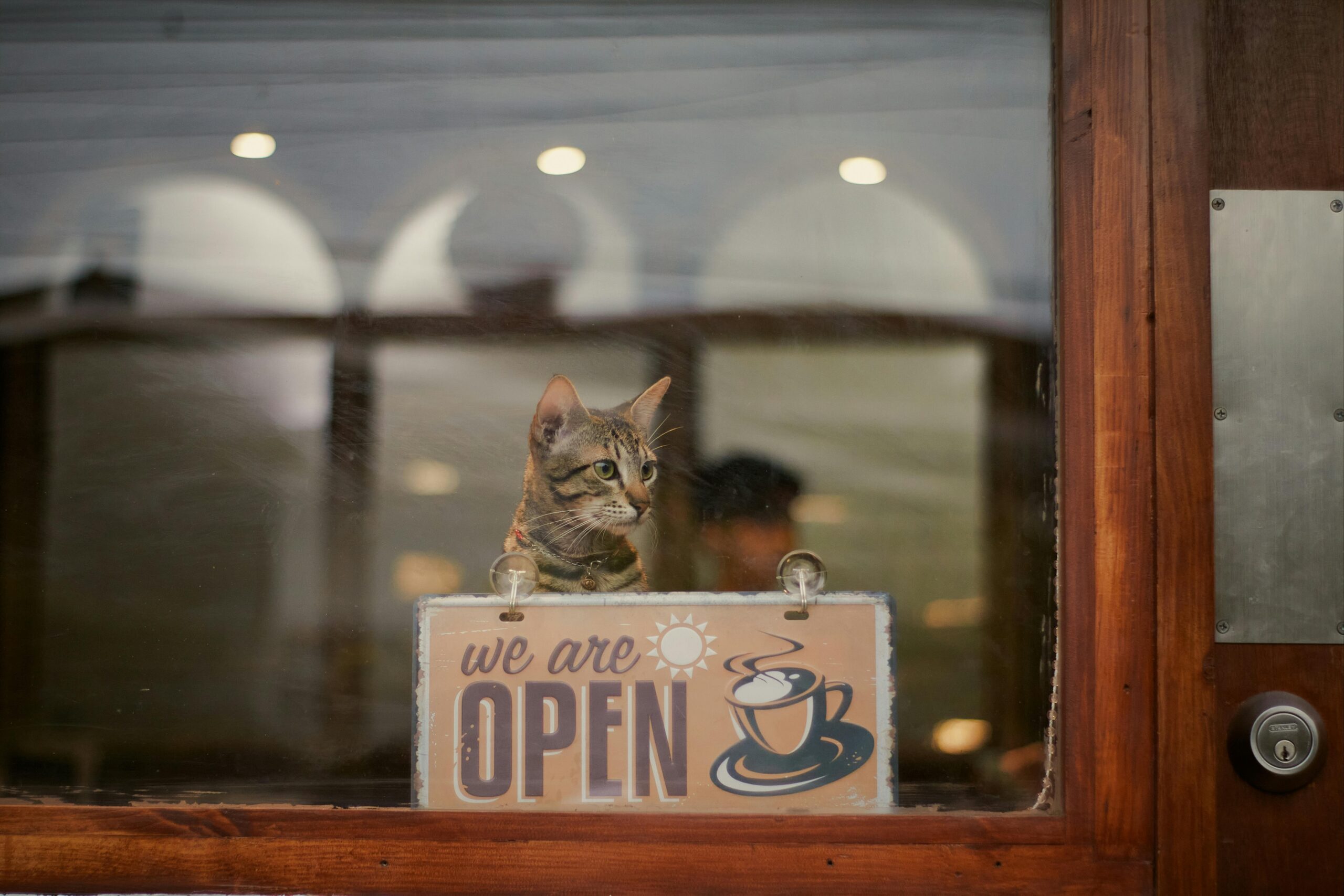 Pet-Friendly Cafes in Vancouver: Where to Enjoy a Coffee with Your Furry Friend